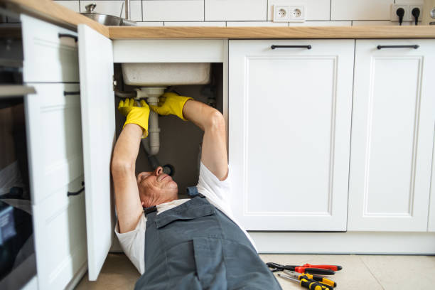 Best Plumbing Services Near Me  in Oblong, IL