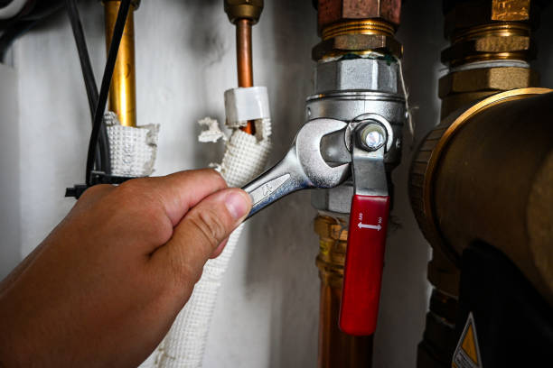 Best Drain Cleaning Services  in Oblong, IL
